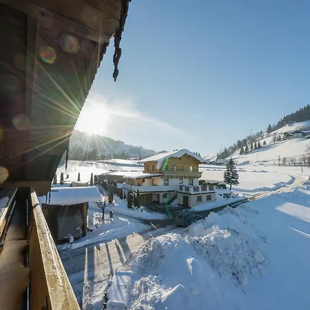 In Near Gastein Area Embach