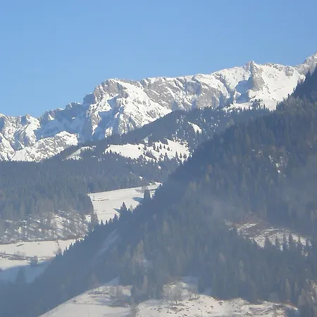 Lejlighed In Near Gastein Area *