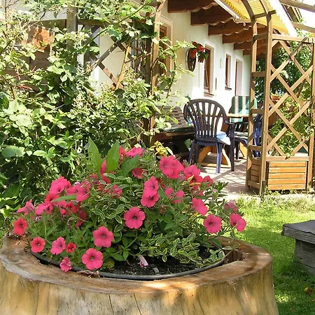 In Near Gastein Area Daire Embach