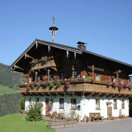 In Near Gastein Area Embach