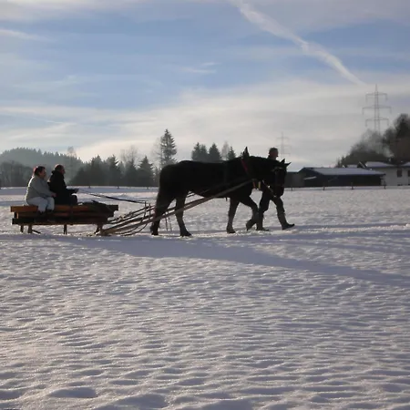 In Near Gastein Area