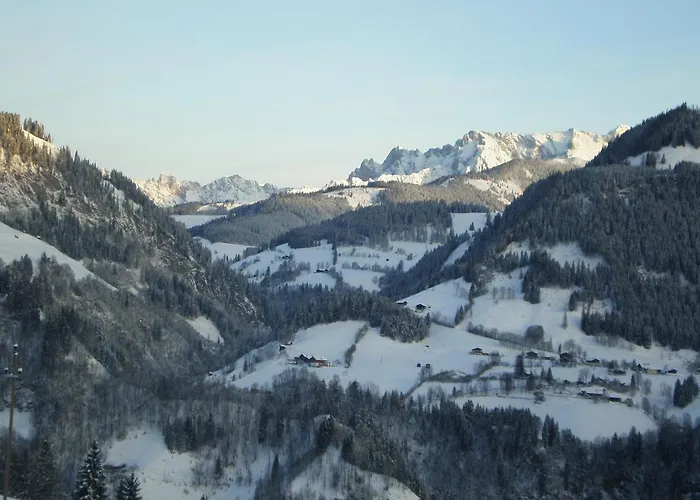 In Near Gastein Area Daire