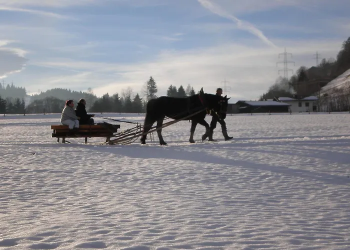 In Near Gastein Area
