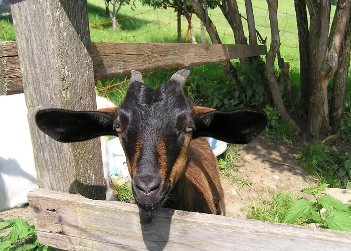 דירה In Near Gastein Area